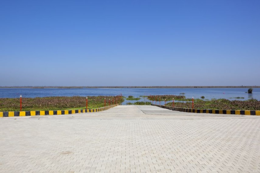 Harike Wetland_5